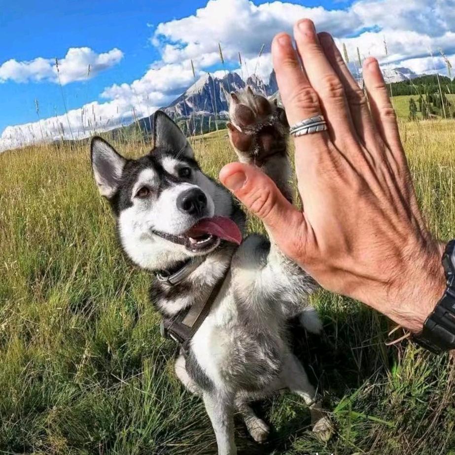 k
