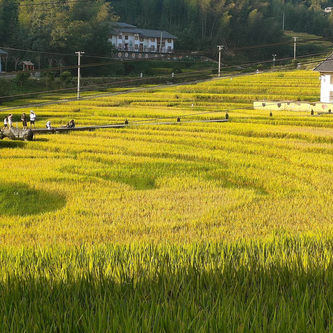 严小慧室内装修的严姐姐