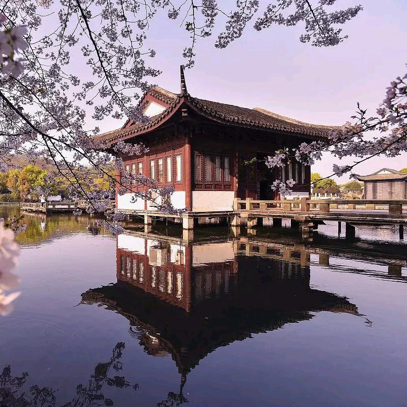 流金岁月