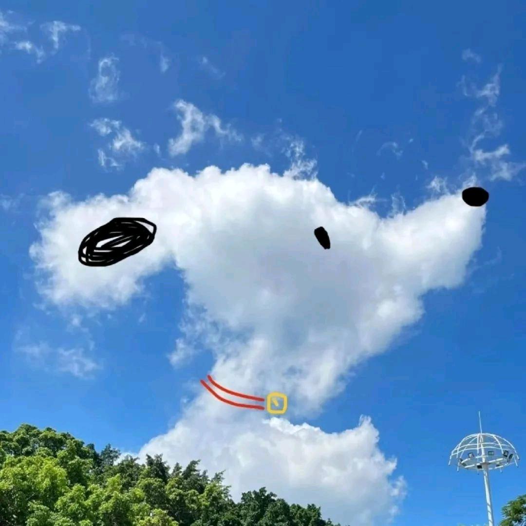 风与自由