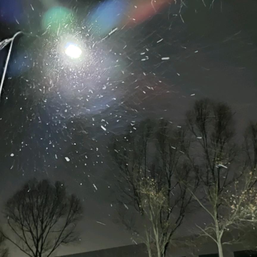 浅笑止境🌠