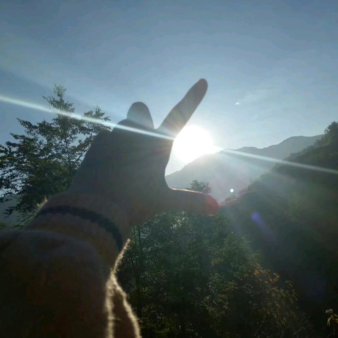 马(魅)🍀
