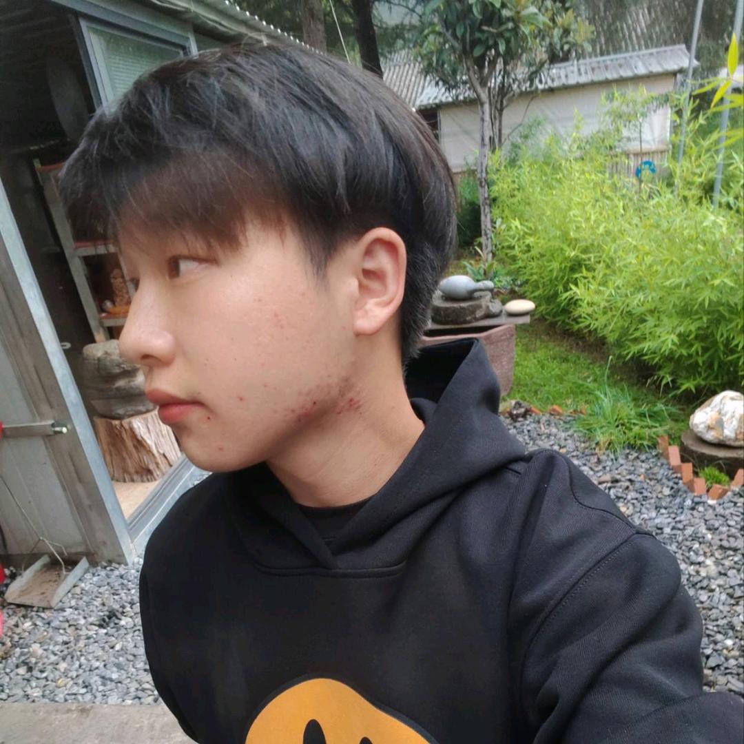 @想当村长的阿伟