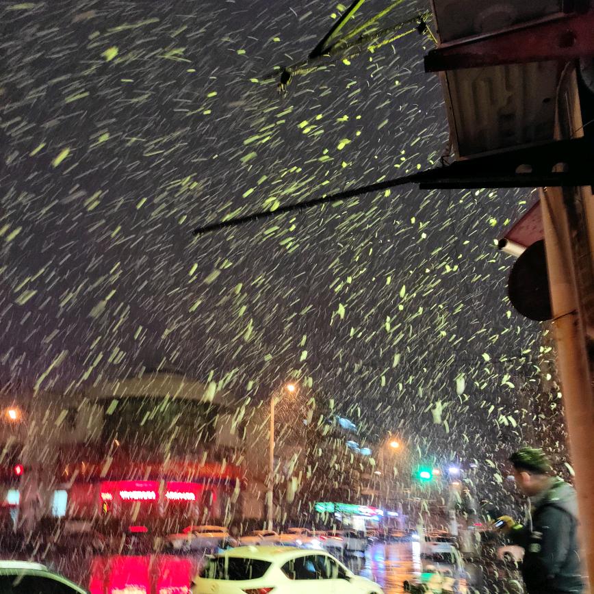 烟魁--（津）