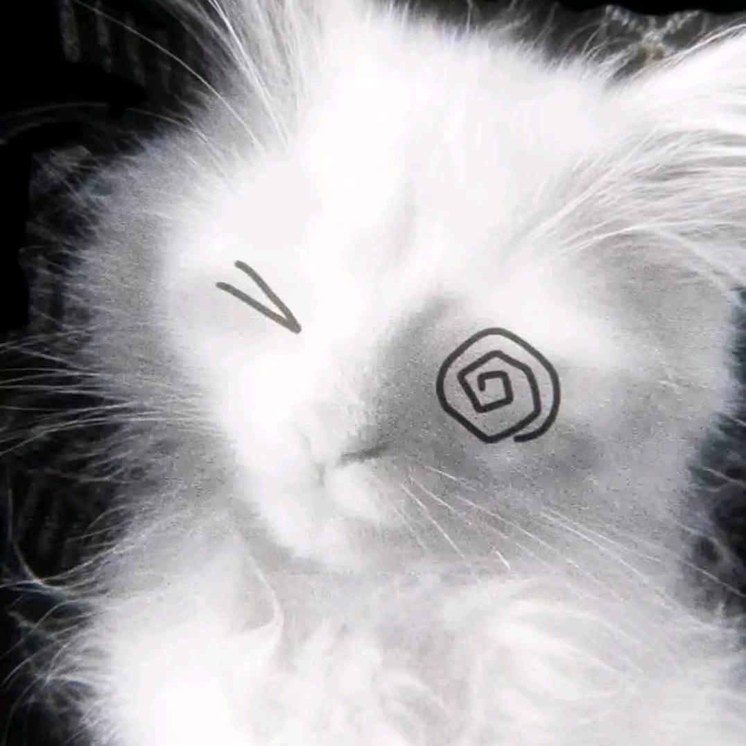 嗳誒（接无偿）