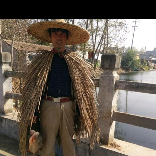 古来长友
