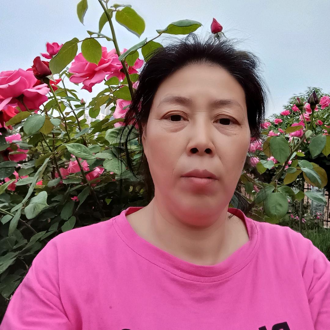 用户太阳