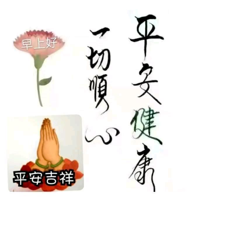 会烧菜的荣哥哥