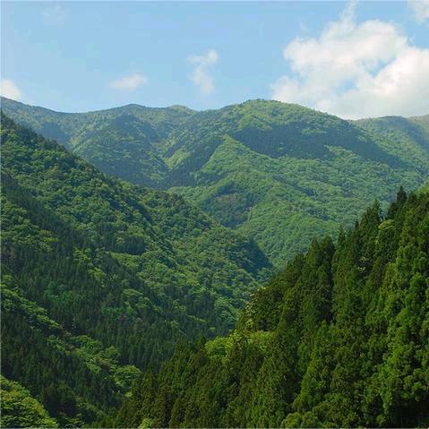 连山田优选干货