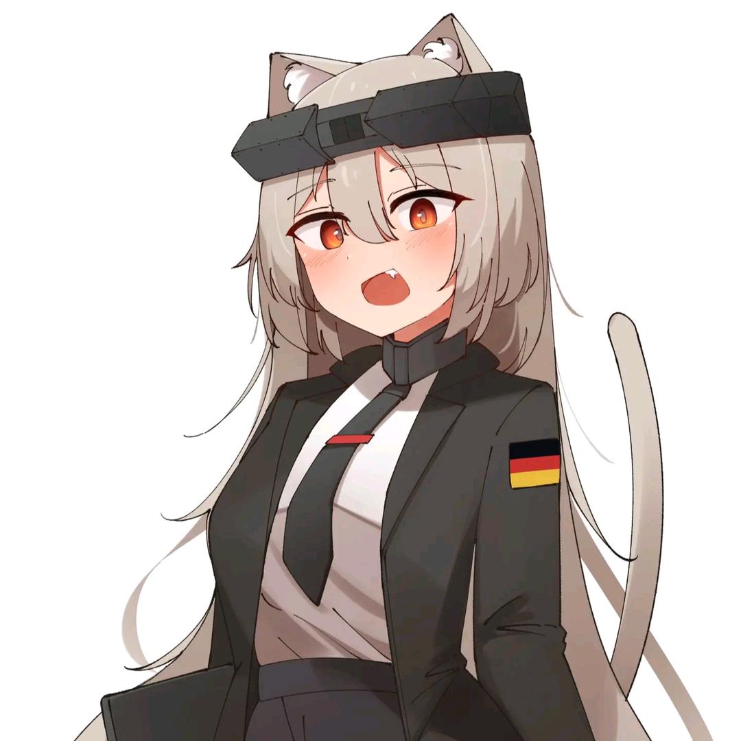 一辆没事干的豹式D型