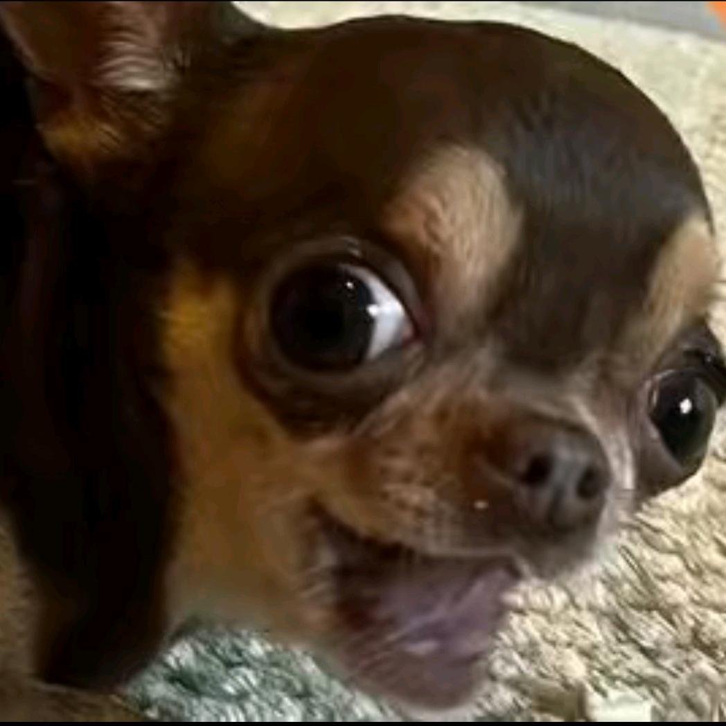 午夜纯情薄荷音