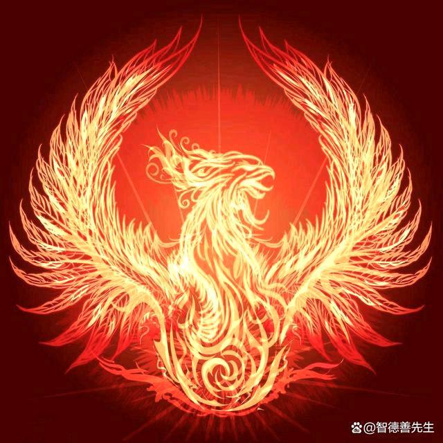 一轩分享