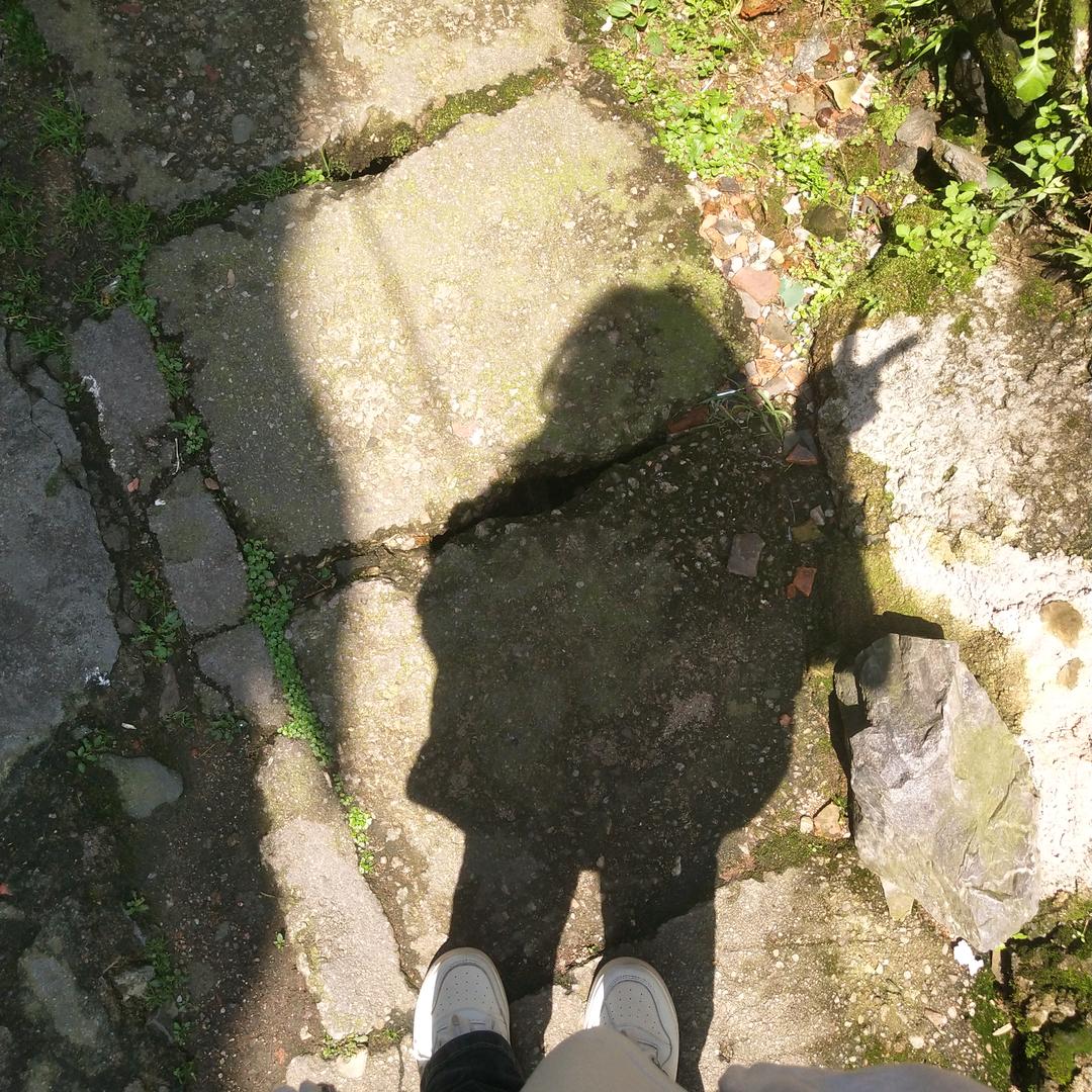 漫雾¹