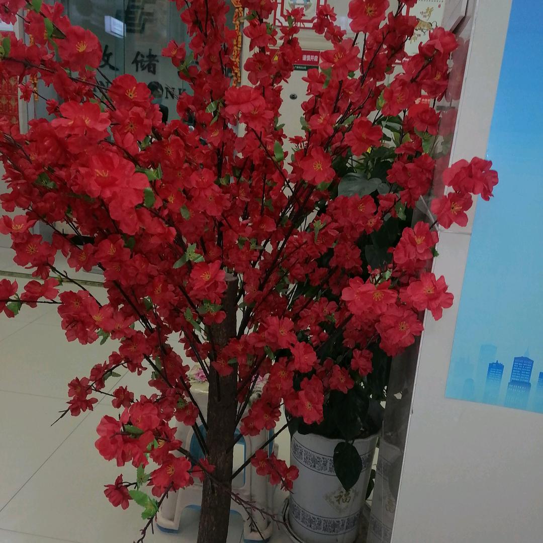 余生将就