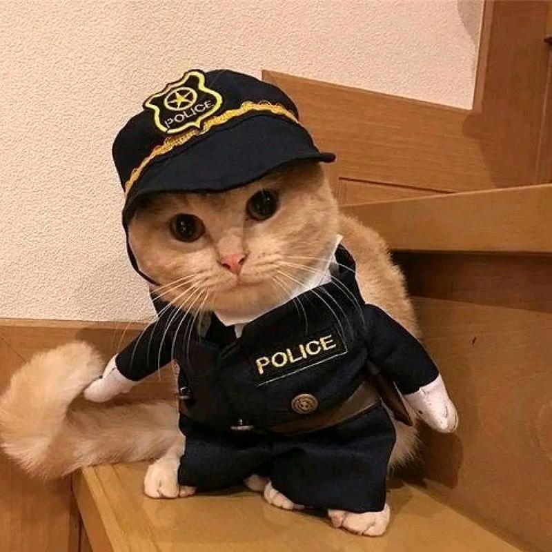 伞伞
