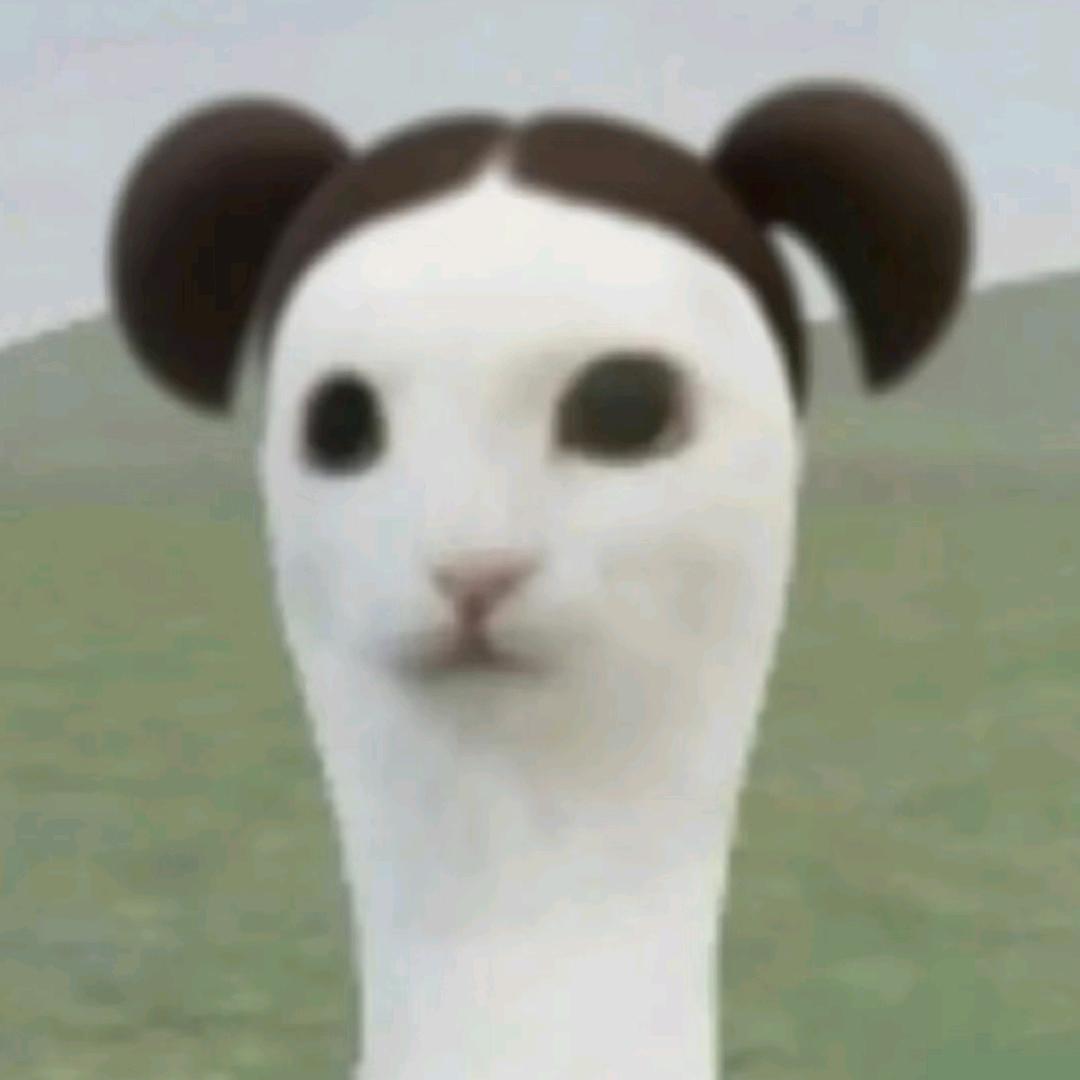 ︋︋︋︋︋