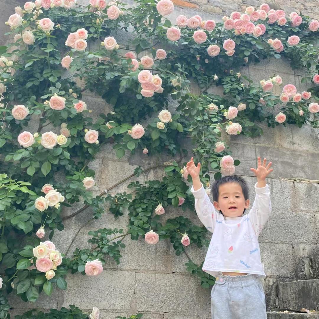 蕊蕊在这呀 💫