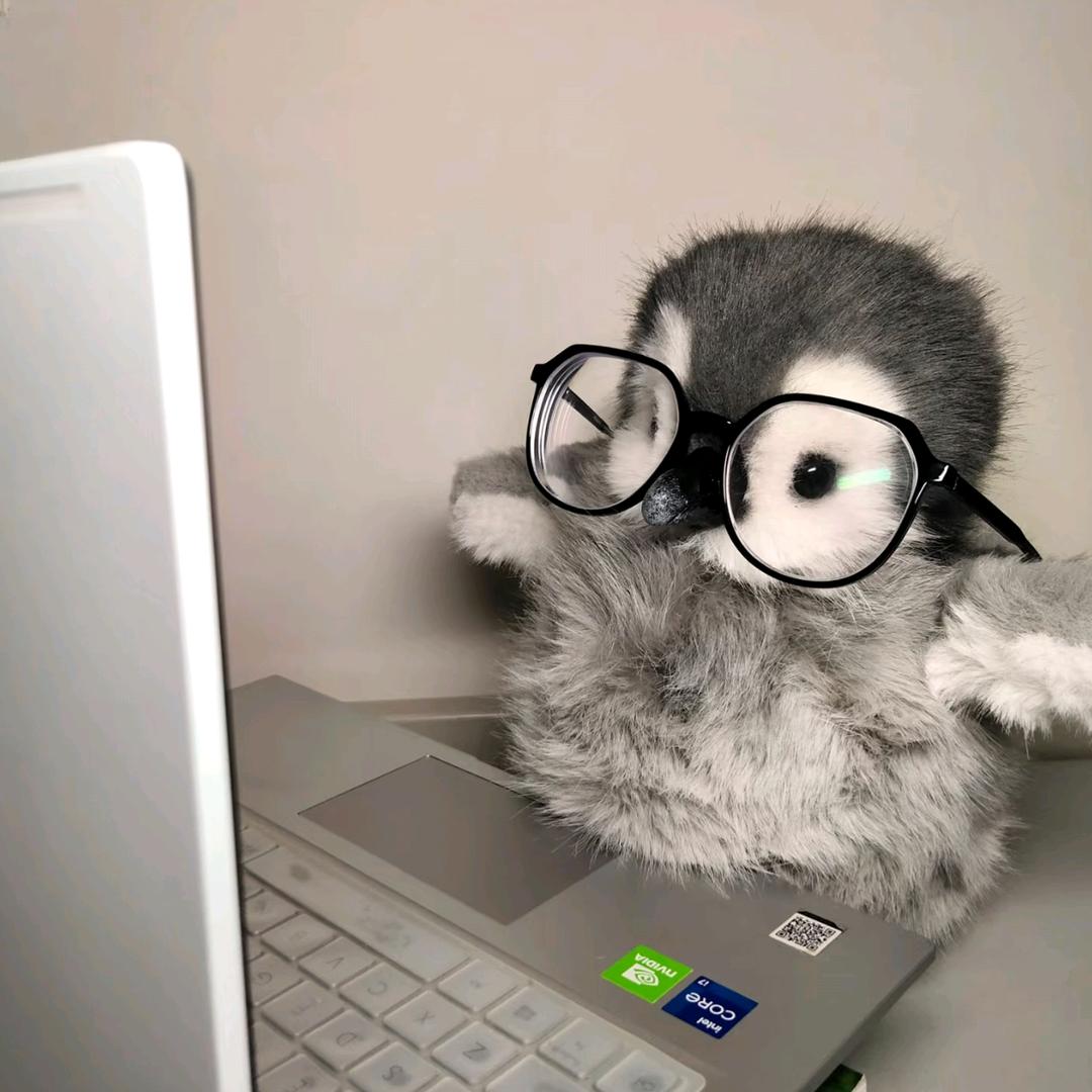 豆鲨包的吃货日记