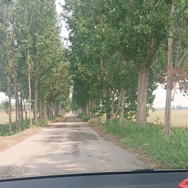 未来的路我们一起走！