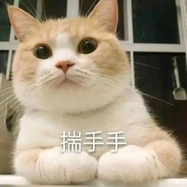 小鸟需依人