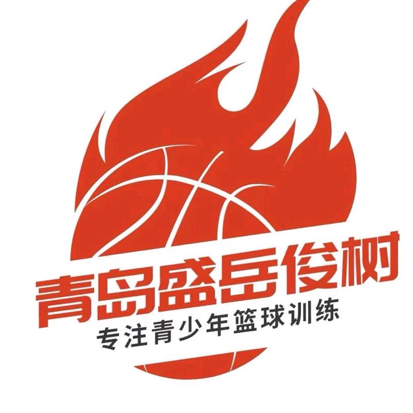 青岛盛岳俊树同安路校区