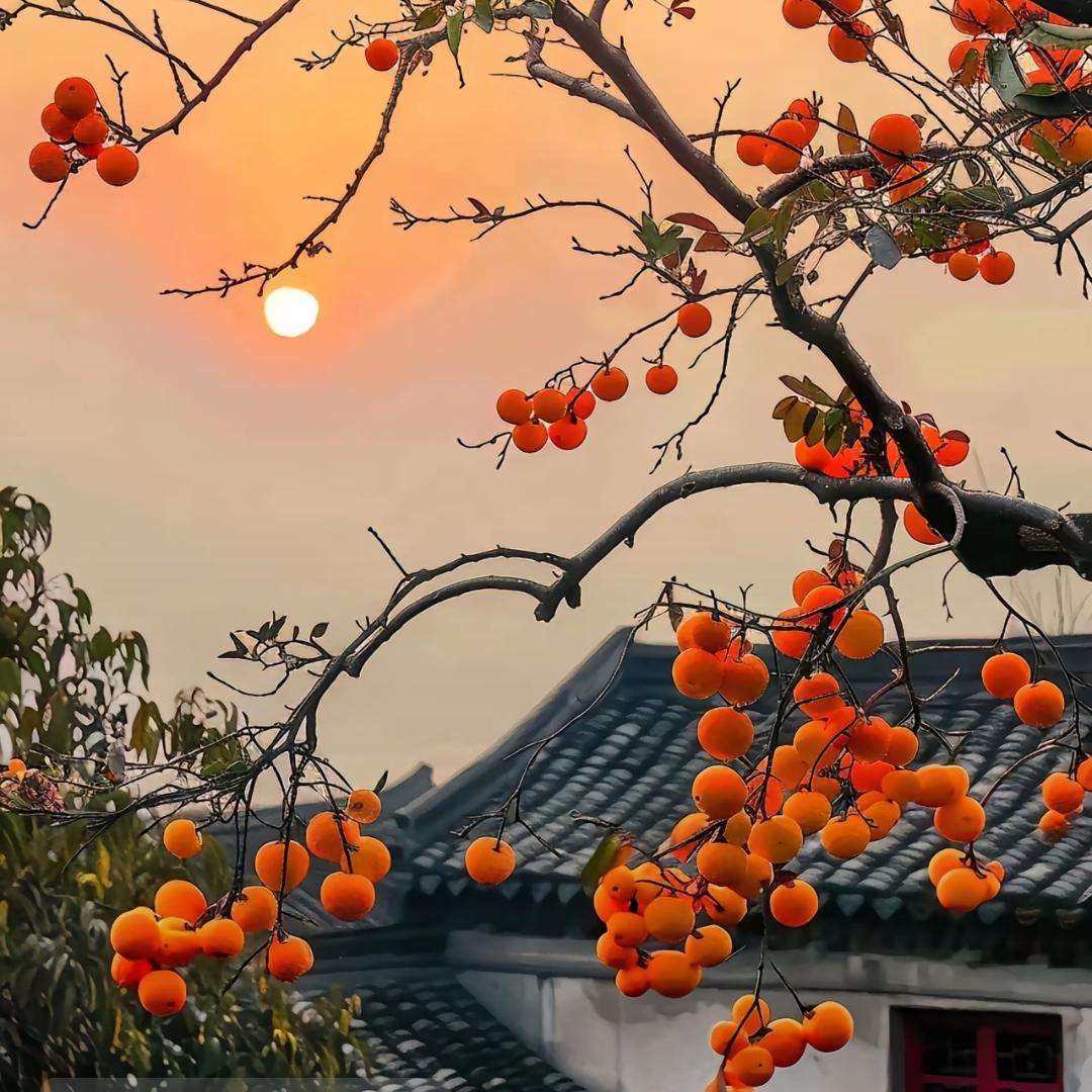等％待