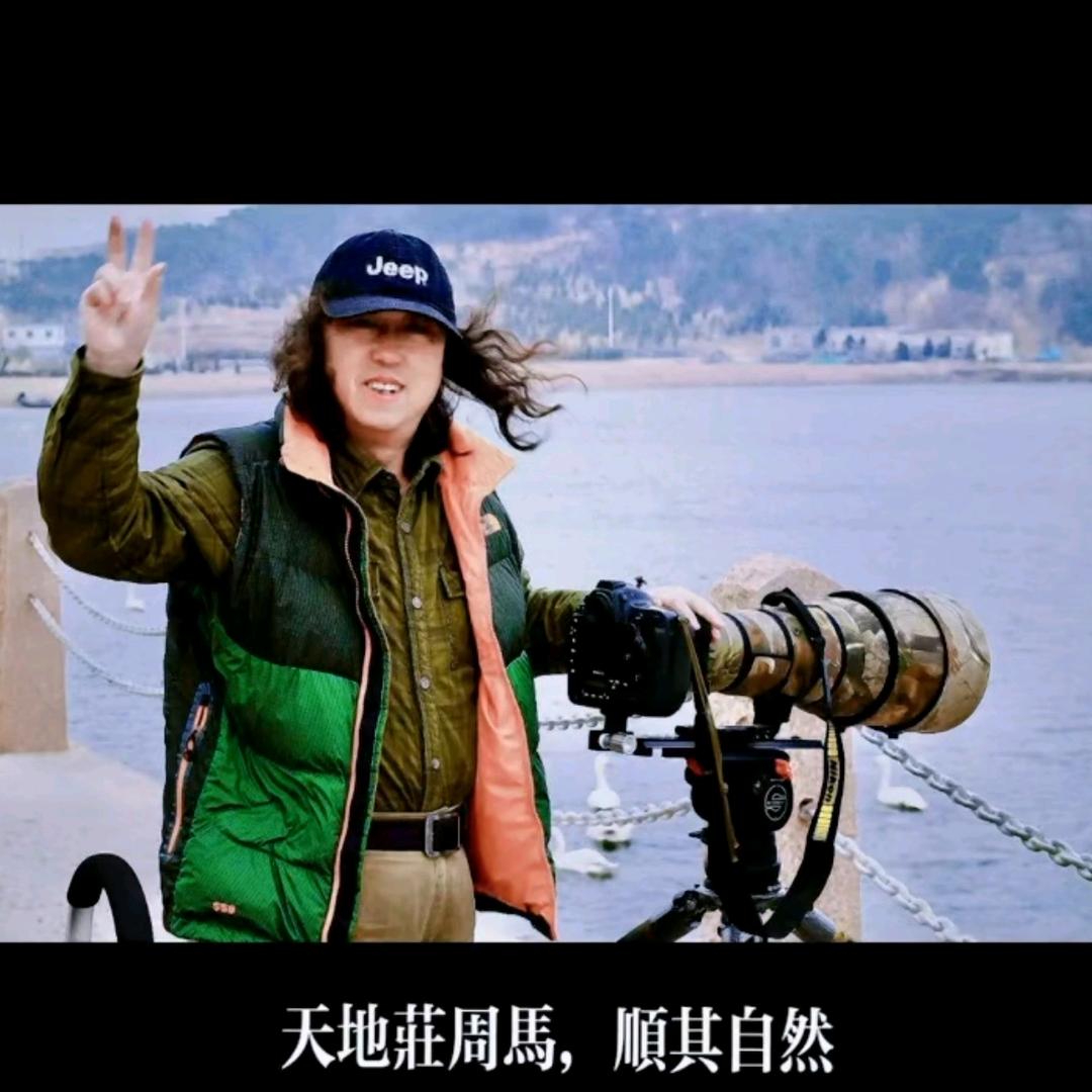 禅者信步