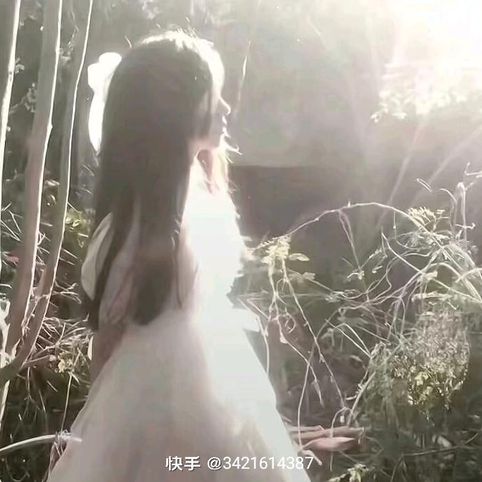 我在月下许愿