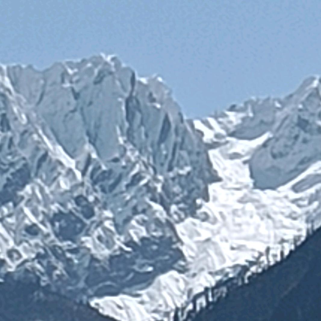 余生不一定是你