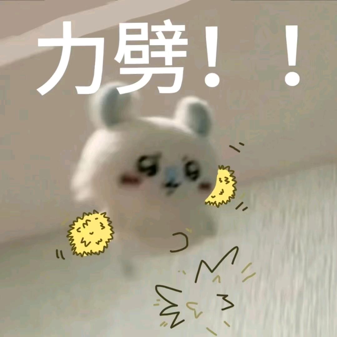会呼吸的月亮