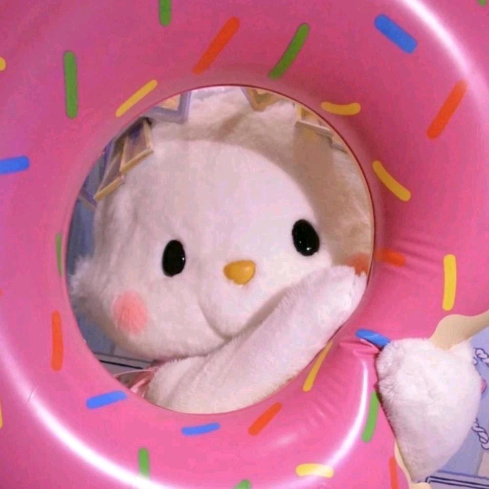 猫咪大眼