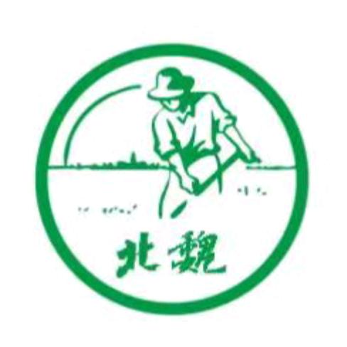 大同北魏食品