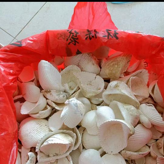 贝壳灰量大从优