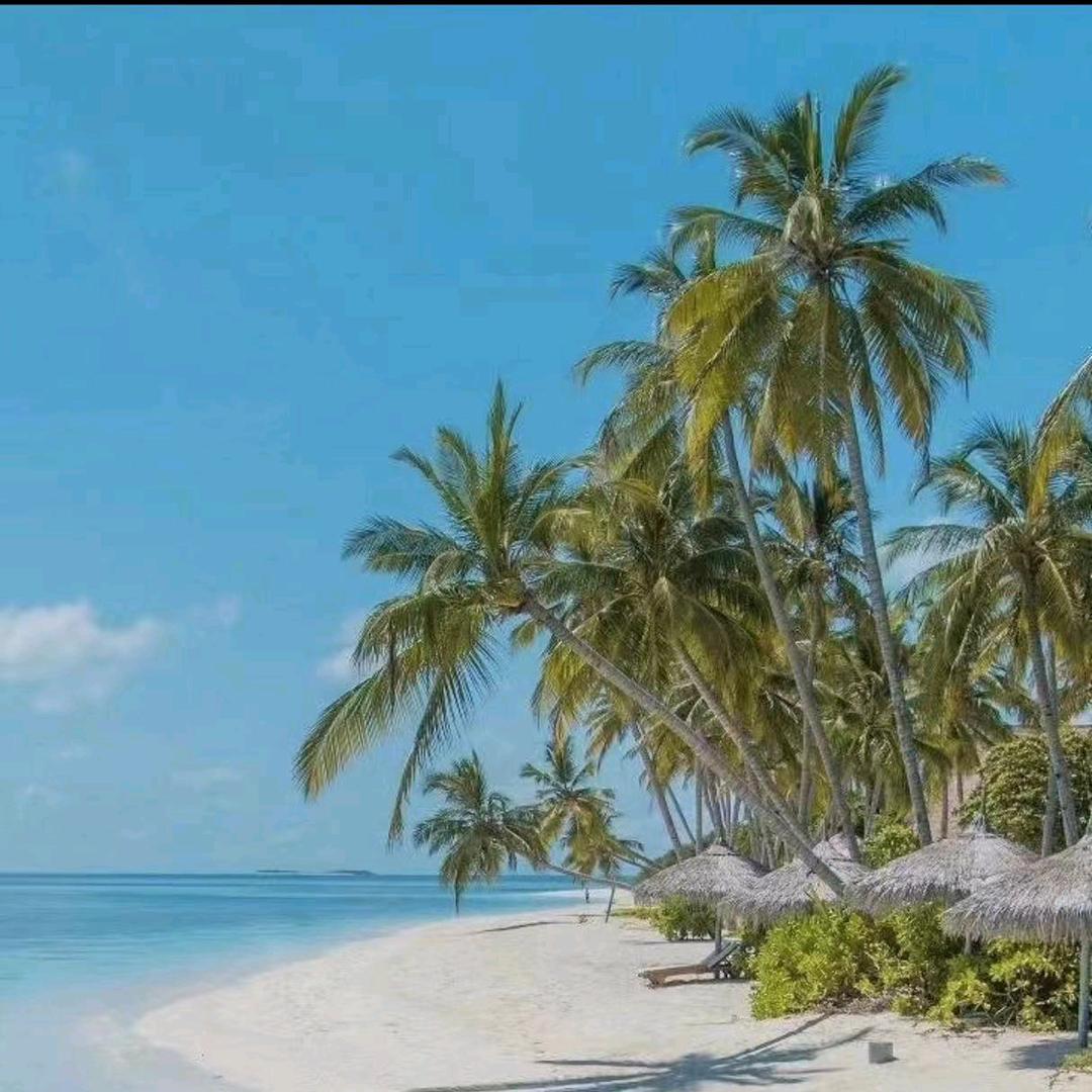 通许县亚鹏蔬菜保鲜行