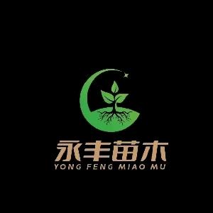 『永丰苗木』珍珍