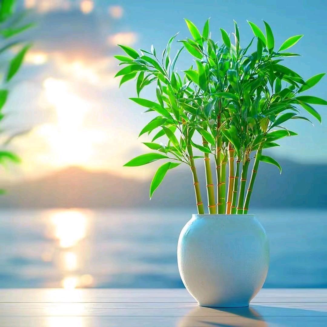 一个w