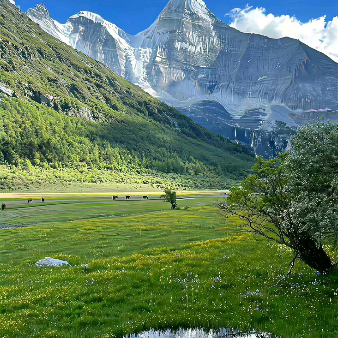 ༊遇见你꧔ꦿ᭄