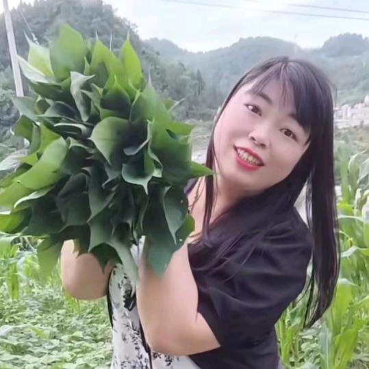 农村表妹