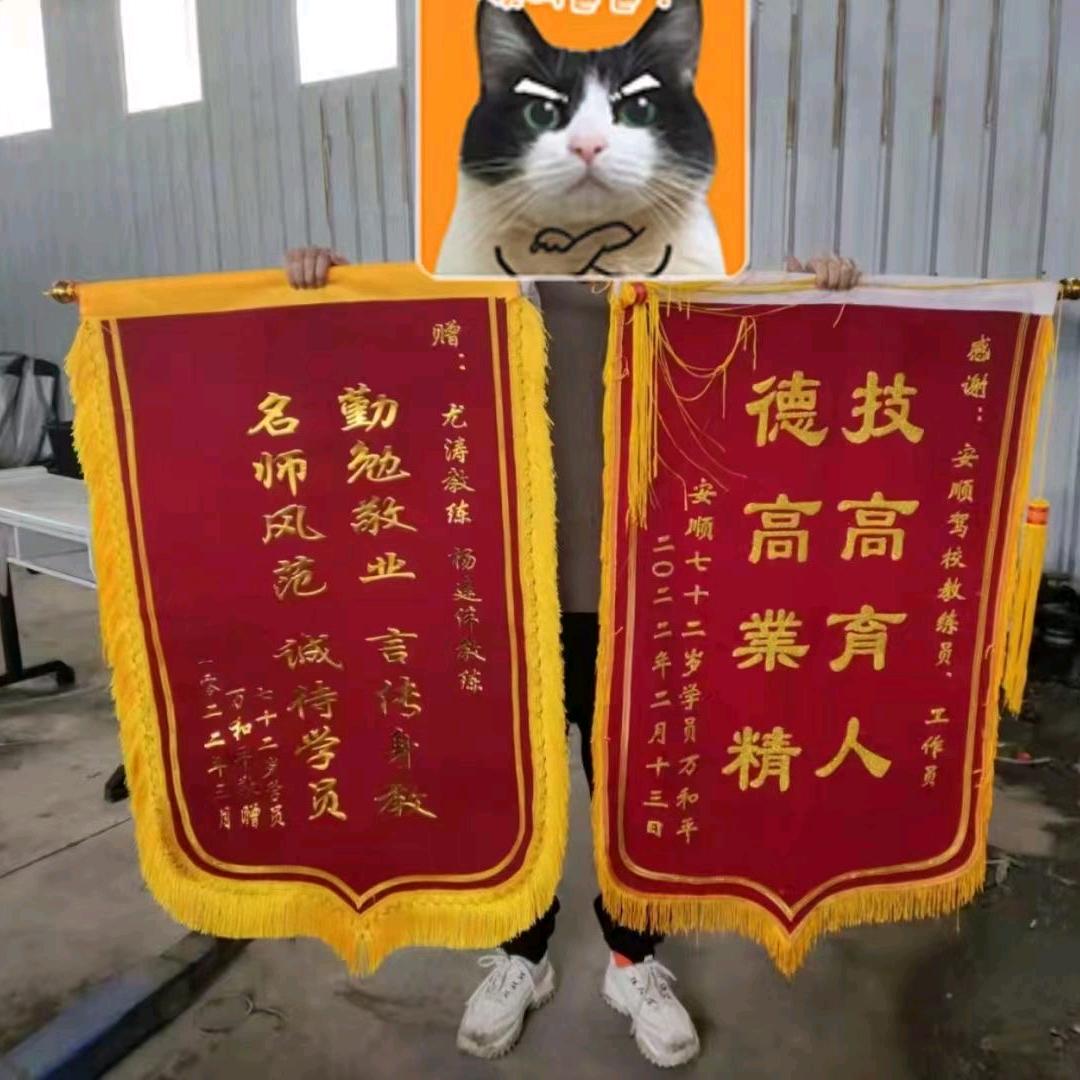 顺阳驾校三轮车D小车C1C1