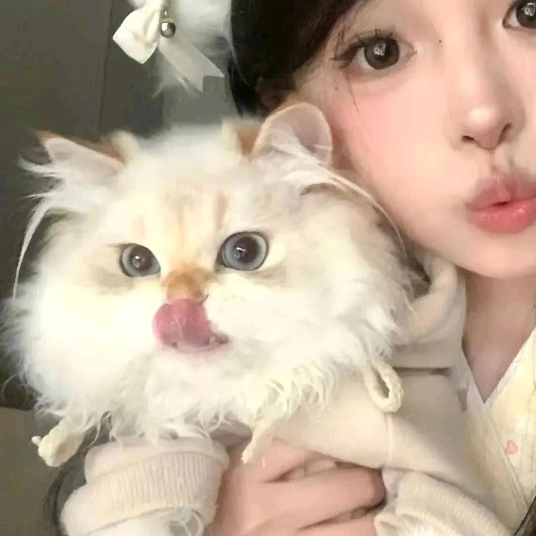 本溪第一魅魔常小雨