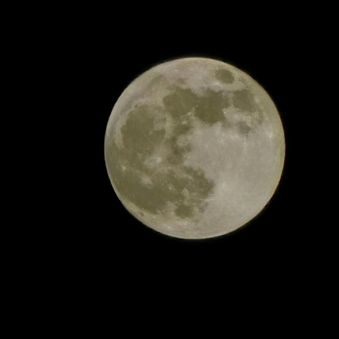 篮球直播