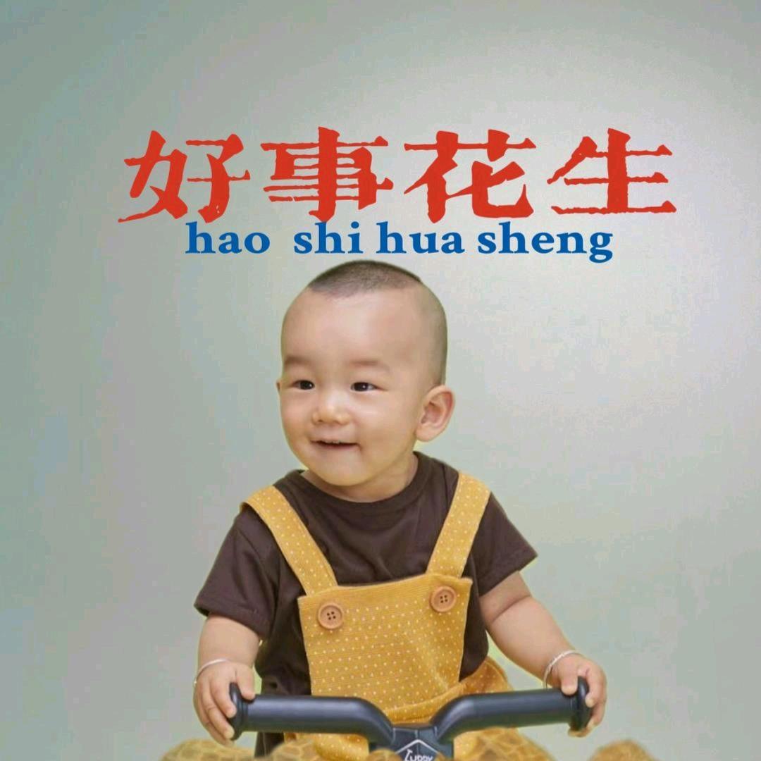 散称鱼皮花生