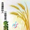 季节