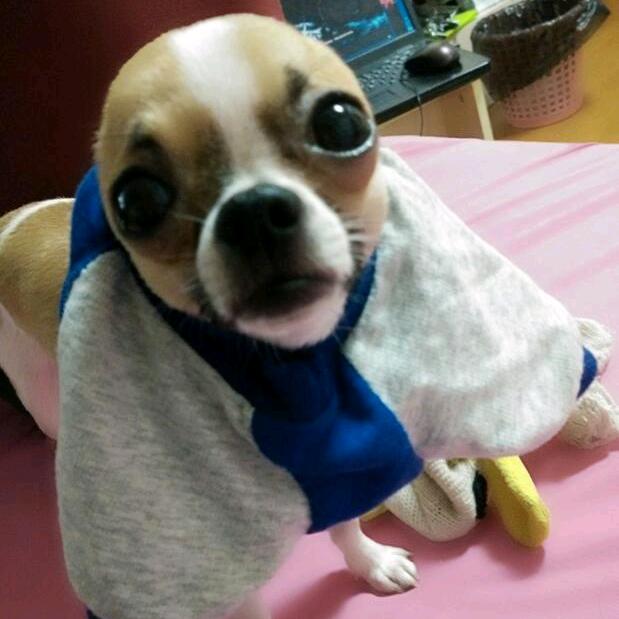 晗灏