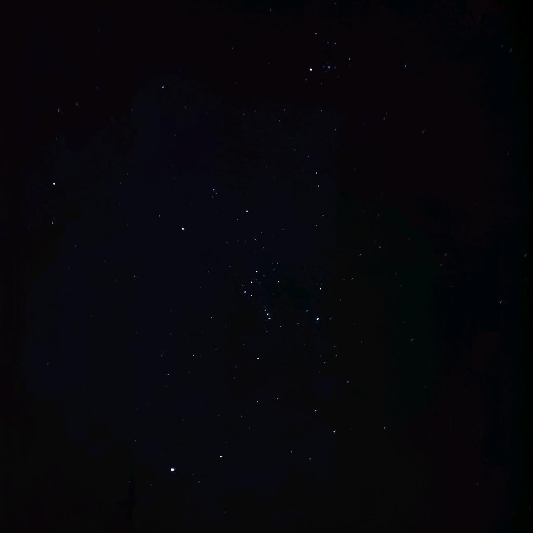 全脂蔬菜沙拉