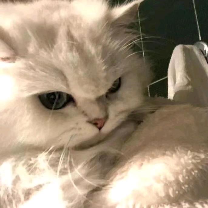 得亿