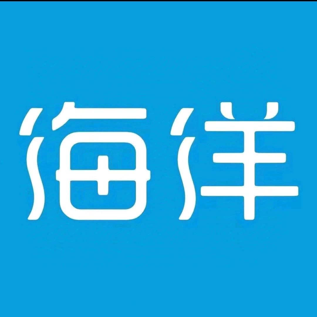 枝江比亚迪（盆迪海洋店）