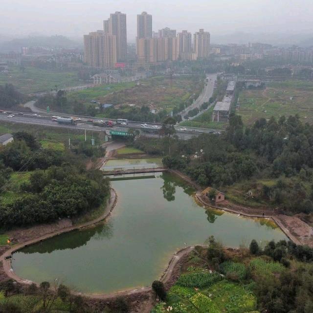 璧山区芊渔生态欢乐塘