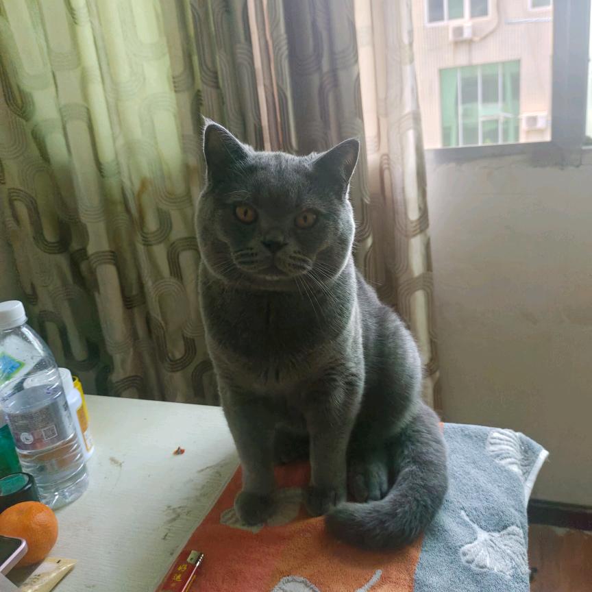 ο▬▬◙▇▇▇▇▇▇▇◤