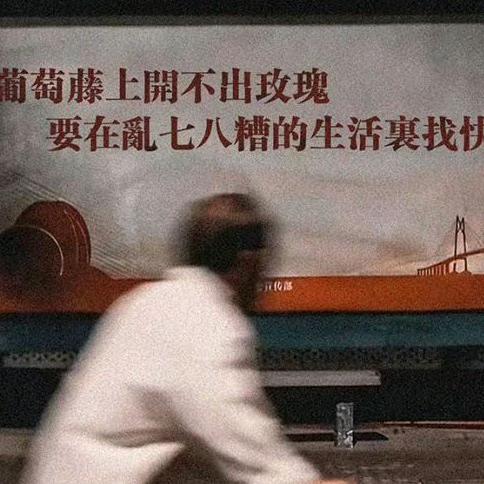 今天吃什么(づ ●─● )づ